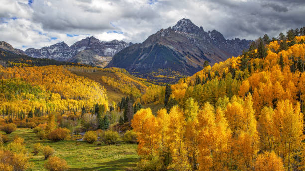 mañana el sol destacando el follaje de otoño con montañas del san juan en el fondo - colorado coniferous tree mountain range mountain fotografías e imágenes de stock