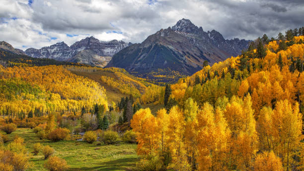 Morning Sun Highlighting Autumn Foliage with San Juan Mountains in the Background Morning Sun Shining on Autumn Foliage with San Juan Mountains in the Background on a cloudy day aspen colorado photos stock pictures, royalty-free photos & images