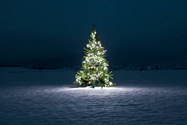 illuminated christmas tree on the snow at night - weihnachtsbaum stock-fotos und bilder