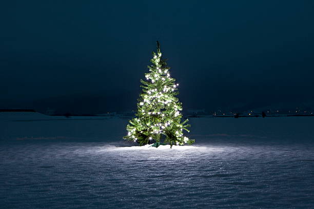 illuminated christmas tree on the snow at night - tree lights ストックフォトと画像