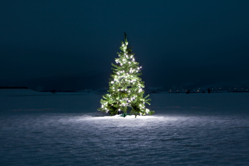 Illuminated christmas tree on the snow at night