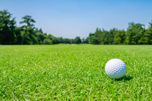 golfplatz, wo der rasen schön ist, und golfball auf fairway. golfplatz mit einem reichen grünen rasen schönen landschaft. - golfplatz green stock-fotos und bilder