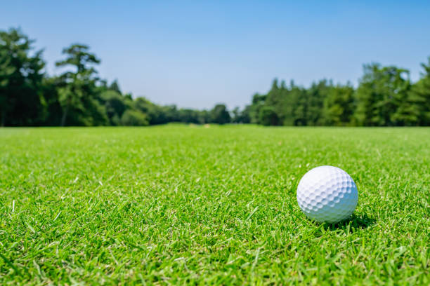 잔디는 아름 다운 골프 코스 그리고 골프 공을 페어 웨이에. 풍부한 녹색 골프 코스 잔디 아름 다운 풍경. - golf ball leisure activity sport nature 뉴스 사진 이미지