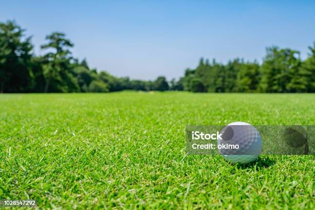 Golf Course Where The Turf Is Beautiful And Golf Ball On Fairway Golf Course With A Rich Green Turf Beautiful Scenery Stock Photo - Download Image Now