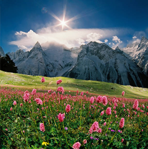 istock Dombay is resort in sunny day. 1028549950