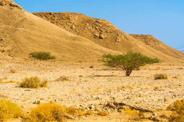 istock Stone desert in Israel. 1028580760
