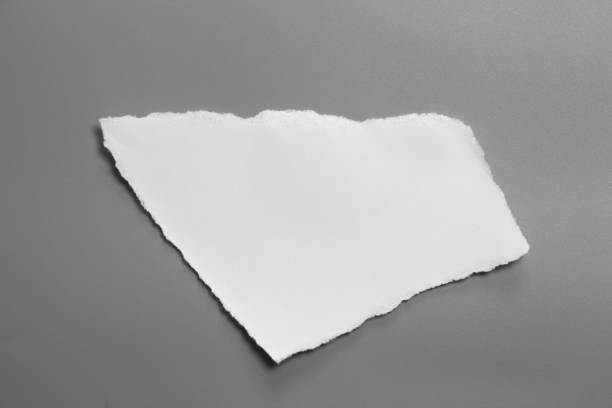 istock white torn paper on gray background. collection paper rip 1028599446
