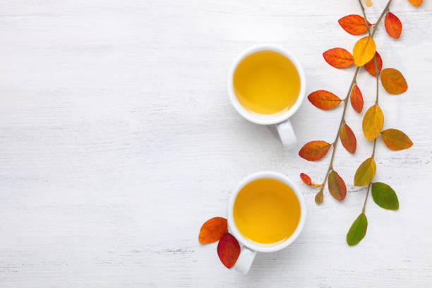 istock Two cups  of tea and colorful autumn leaves  on rustic table. 1028606786