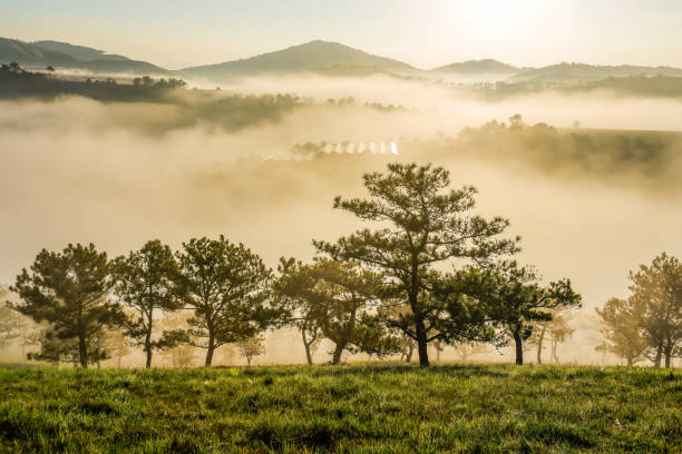 istock Thien Phuc Duc hill, Da Lat - Viet Nam. 1028606956