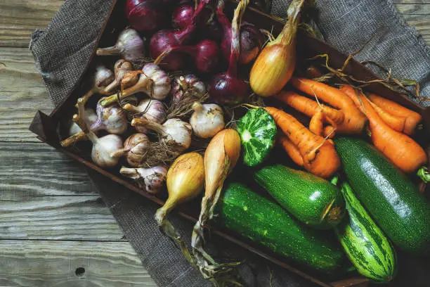 Fresh vegetables in wooden box, onions, garlic, carrots. Rural style, top view. Copy space