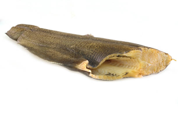 istock halibut isolated under the white background 1028617118