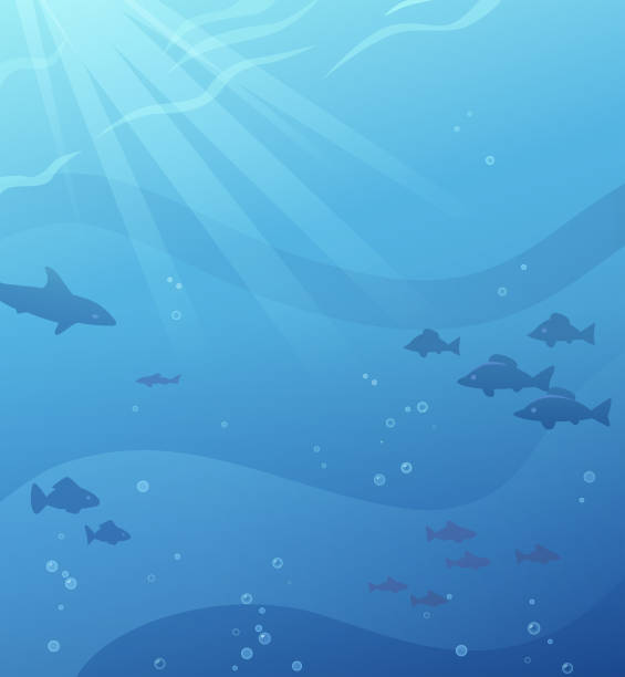 подводный фон - shark animal blue cartoon stock illustrations