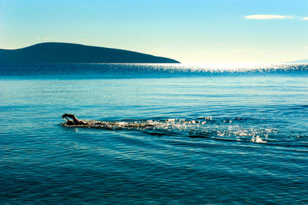 istock man swimming in the sea 1028623176