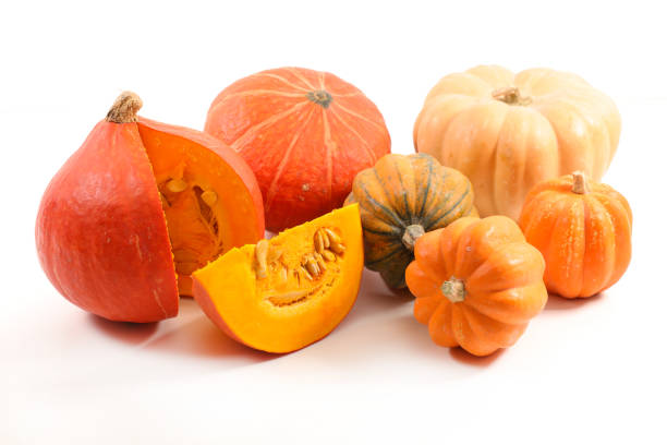 istock selection of pumpkin 1028626724