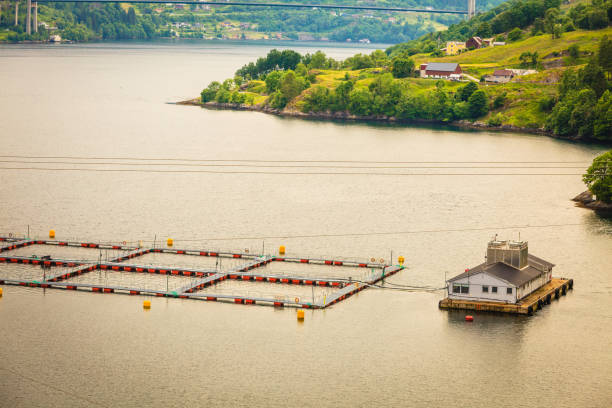 istock Norwegian fish breeding farm on water 1028640362