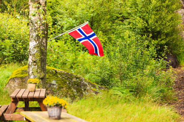 istock norwegian flag and green picnic site 1028640602