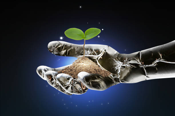 istock A hand of a metallic artificial intelligence robot that places a sprout that sprouts on the soil in the palm of your hand. 1028640742