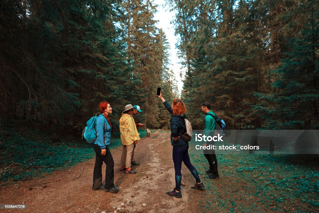 I don't have signal hiking friends in the forest loosing signal at mobile phone. Radio Wave Stock Photo