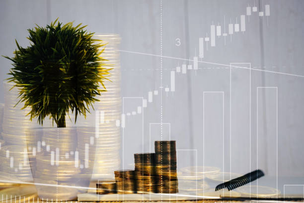istock Double exposure of coin stack and little tree on city background with financial graph chart, business planning vision and finance analysis concept. 1028652040