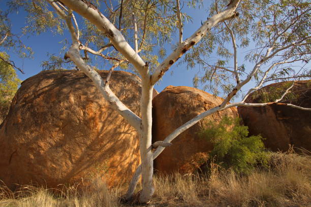 istock Devils Marbles in Northern Territory of Australia 1028652140