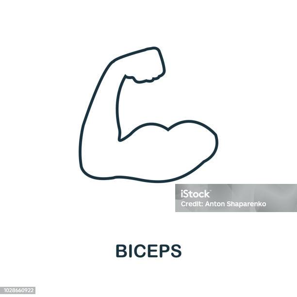 Biceps Outline Icon Simple Element Illustration Biceps Icon In Outline Style Design From Sport Equipment Collection Perfect For Web Design Apps Software Print Stock Illustration - Download Image Now