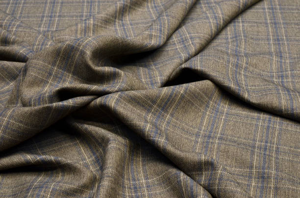 istock Wool fabric, costume, brown-blue cage 1028661038