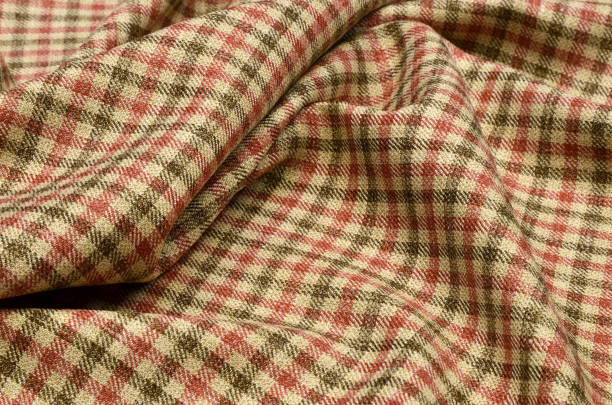 istock Fabric wool suit, cage red-beige-brown 1028661554