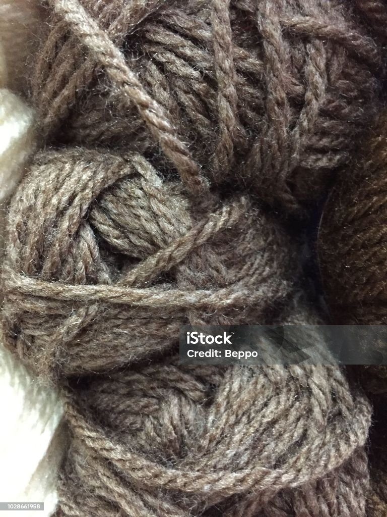 Botany Wool Sheep Wool Fabric Texture Close Up Stock Photo - Download Image Now ...
