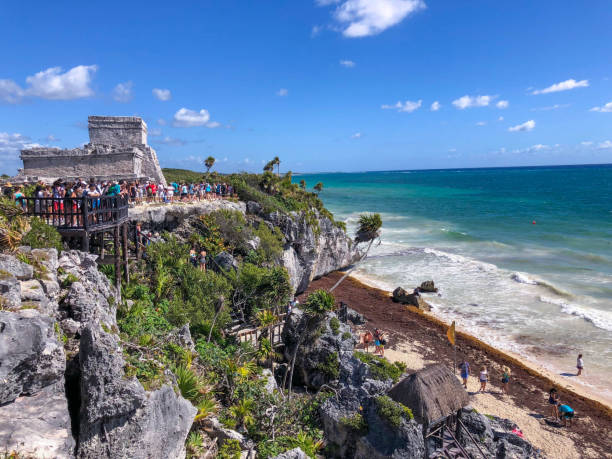 istock Tulum beach covered by sargassum seaweed with crowd 1028662242