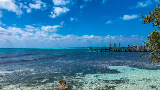 istock Beautiful caribbean beach with turquoise water 1028662392