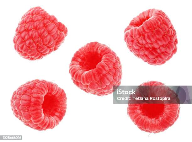 Raspberry Isolated On White Backgroundcollection Stock Photo - Download Image Now - Raspberry, Cut Out, Blackberry - Fruit