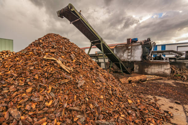 istock Pine wood sawmill with machinery for processing wood 1028672814