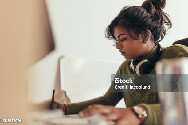 Female Computer Programmer Working At Her Desk Stock Photo - Download Image Now - India, Development, Indian Ethnicity