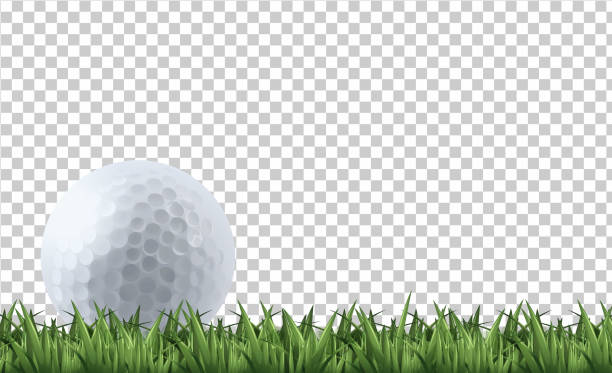 Golf ball on grass Golf ball on grass  illustration golf clipart stock illustrations