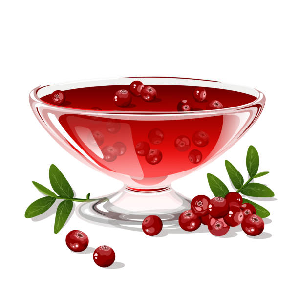 cranberry jelly cranberry jelly. vector illustration cranberry sauce stock illustrations