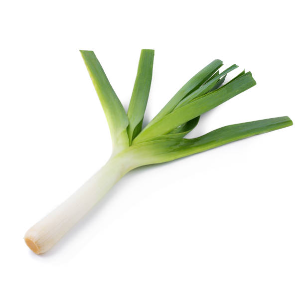 istock Fresh green leek isolated on a white background 1028683588