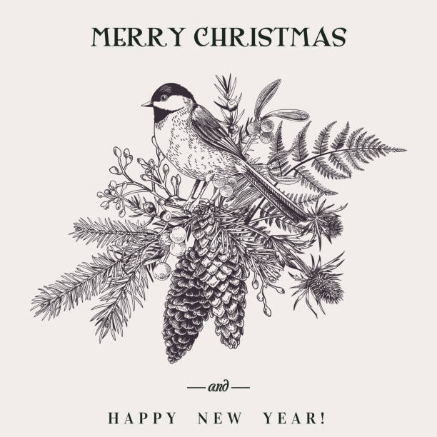 Christmas bouquet and bird. Vector illustration with a bird and a Christmas bouquet. Botany. Fern, spruce, cone, juniper, thistle, mistletoe, snowberry and titmouse. Vintage style. Engraving. Black and white. parus palustris stock illustrations