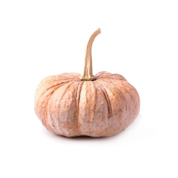 istock Orange vegetable for pumpkin soup and other squash products isolated on white background 1028683682