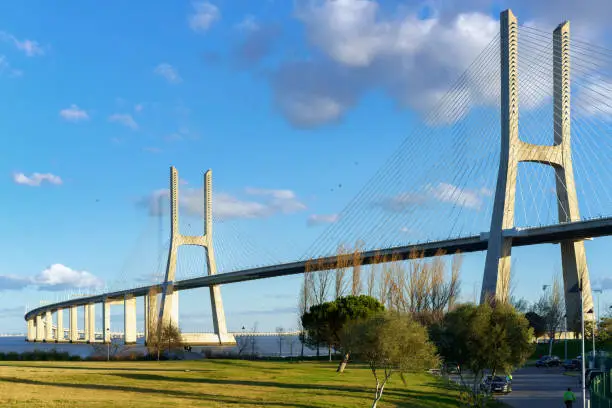 Photo of Ponte Vasco da Gama Bridge view from a garden park during the day