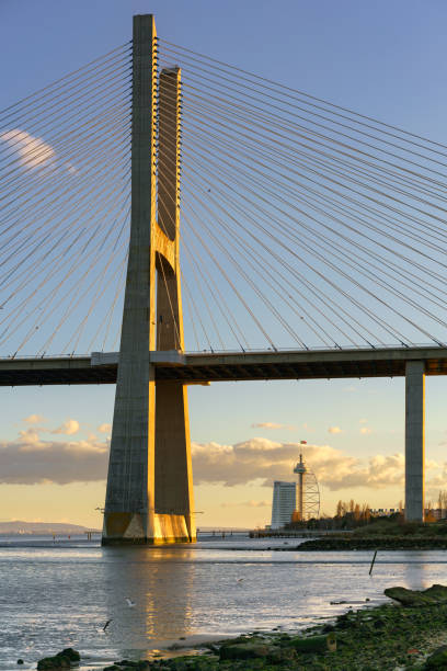 istock Ponte Vasco da Gama Bridge view near the Rio Tejo river at sunset 1028686300