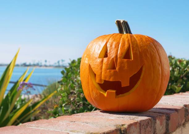 istock Happy Halloween pumpkin summer background 1028686976