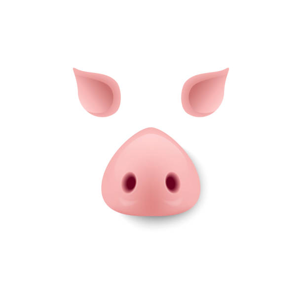 ilustrações de stock, clip art, desenhos animados e ícones de pig nose and ears. piggy mask design. vector - animal nose