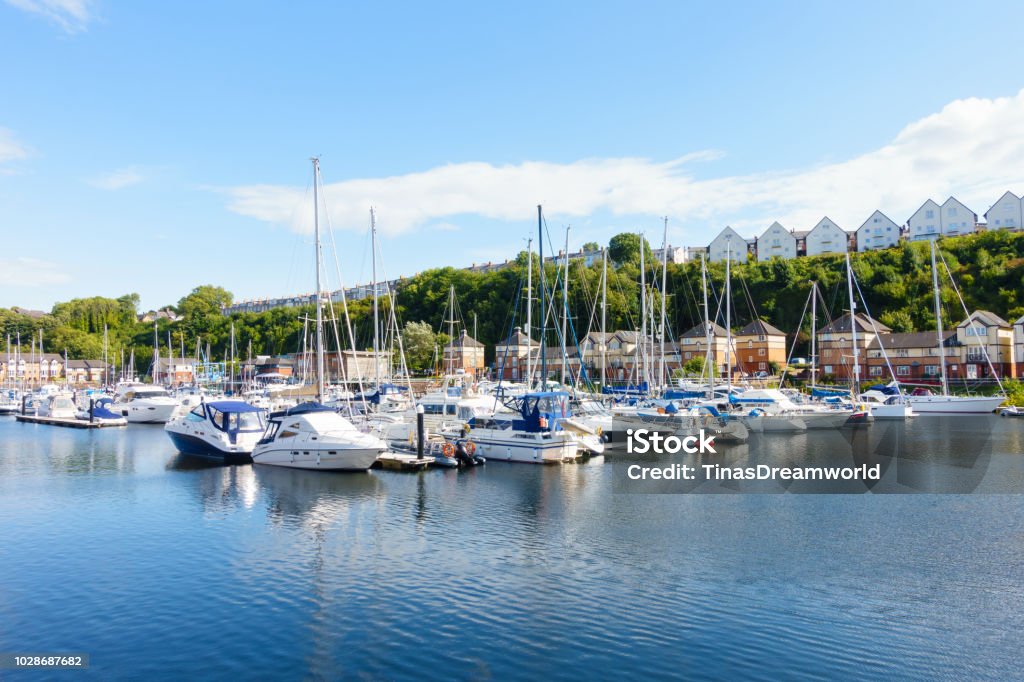 Sailing Boats moored at Penarth Marina, Penarth, Cardiff Sailing Boats and Motor Boats moored at Penarth Marina near Cardiff Bay with sunlit residential houses in the background. Wales Stock Photo