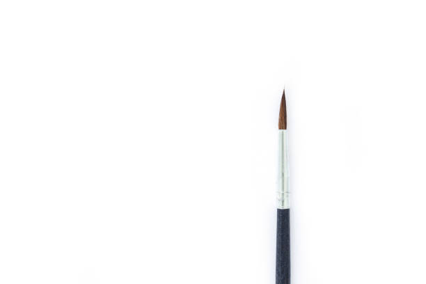 istock paint brush set tool art  on white background 1028690580