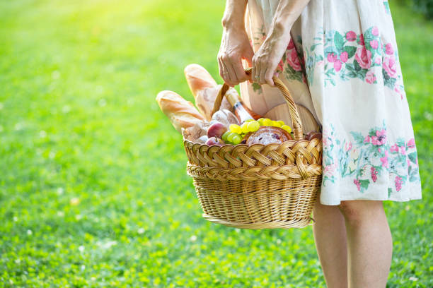 istock Summer - Provencal picnic in the meadow 1028690700