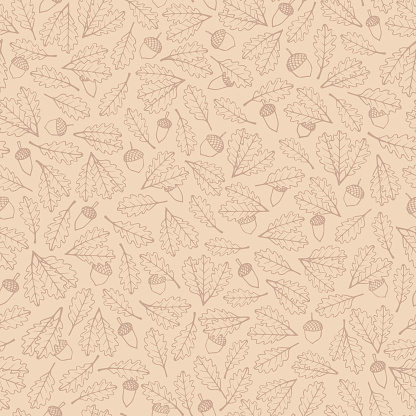 Vector hand drawn pattern with autumn oak leaves and acorns brown contours on the beige background.