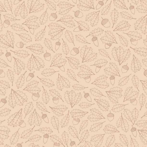Vector hand drawn pattern with autumn oak leaves and acorns brown contours on the beige background. Vector hand drawn pattern with autumn oak leaves and acorns brown contours on the beige background. Fall ornament with foliage in pastel colors. autumn patterns stock illustrations