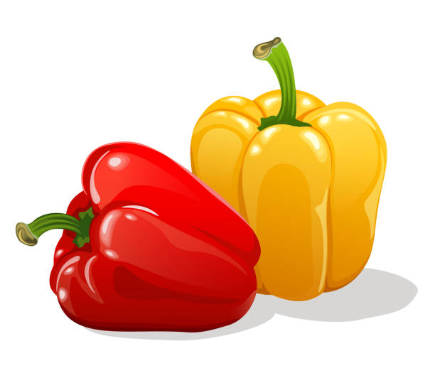 ilustrações de stock, clip art, desenhos animados e ícones de red and yellow sweet bell peppers - green bell pepper illustrations