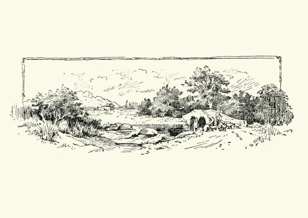 Victorian sketch of a shepherd and his sheep crossing a bridge Vintage engraving of Victorian sketch of a shepherd and his sheep crossing a bridge, 1890s, 19th Century sheep flock stock illustrations