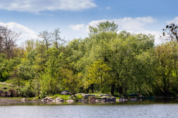 istock green coast of a beautiful small river with white clouds in reflection 1028709938